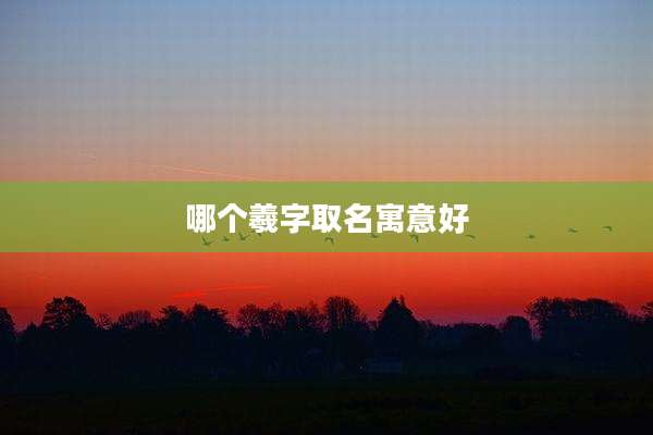 哪个羲字取名寓意好
