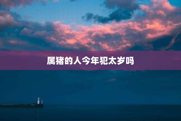 属猪的人今年犯太岁吗