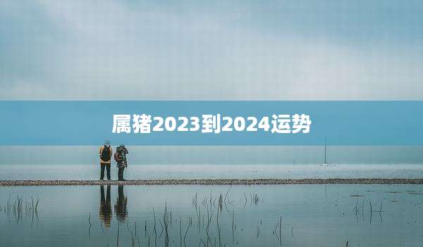 属猪2023到2024运势