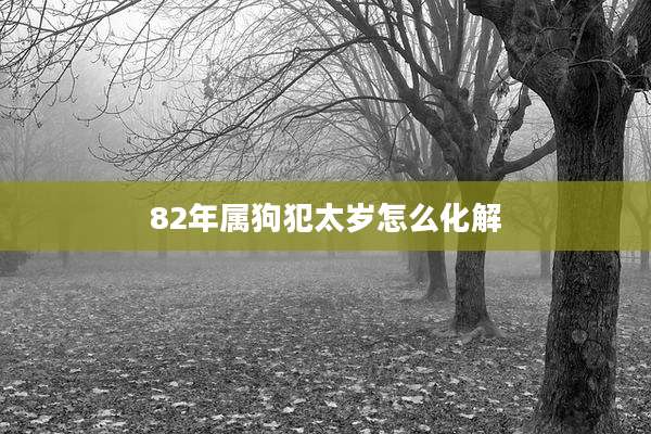 82年属狗犯太岁怎么化解