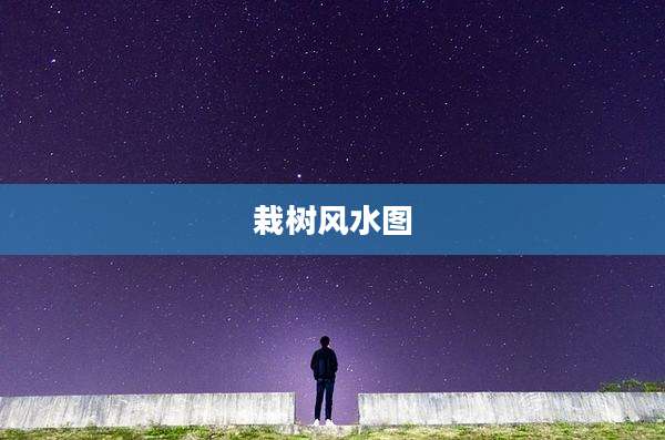 栽树风水图
