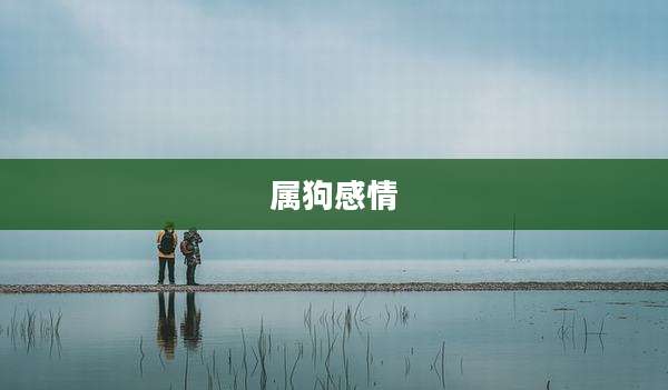 属狗感情