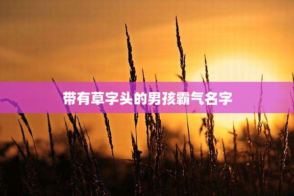 带有草字头的男孩霸气名字