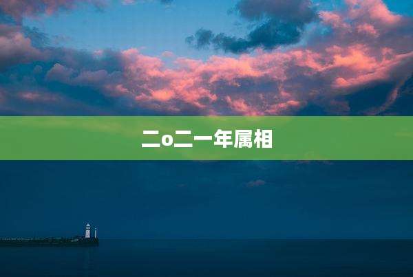 二o二一年属相