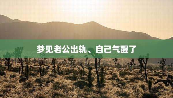 梦见老公出轨、自己气醒了