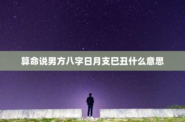 算命说男方八字日月支巳丑什么意思