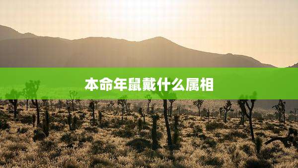本命年鼠戴什么属相