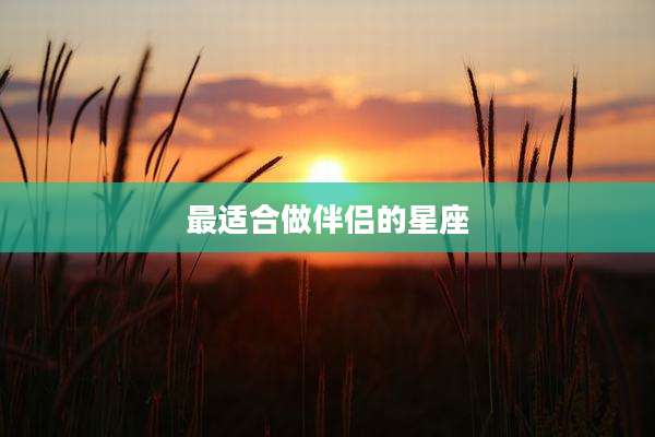 最适合做伴侣的星座