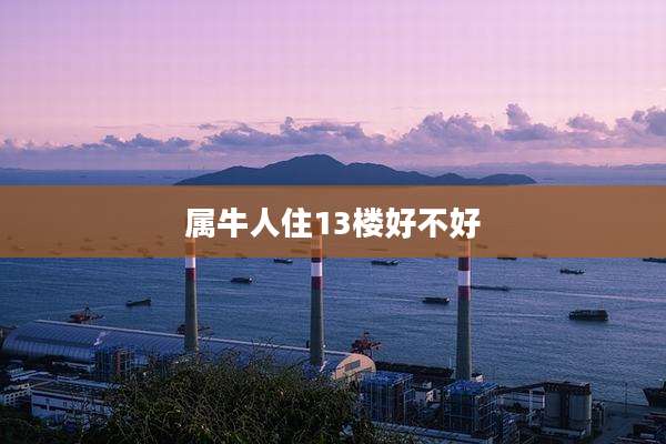 属牛人住13楼好不好