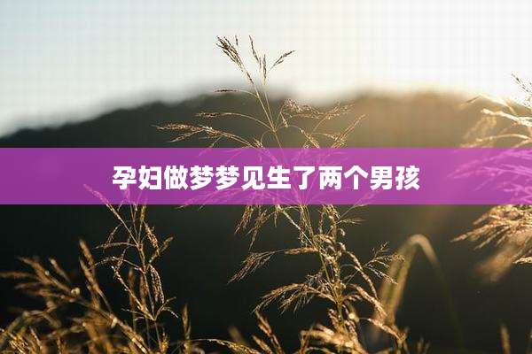 孕妇做梦梦见生了两个男孩