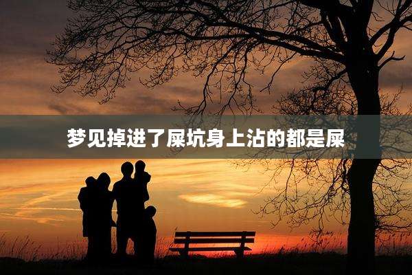 梦见掉进了屎坑身上沾的都是屎