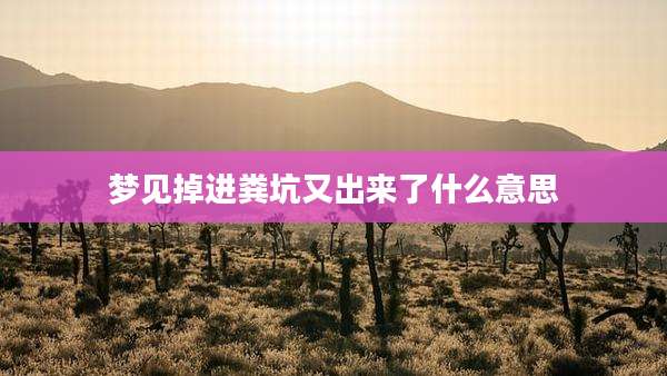 梦见掉进粪坑又出来了什么意思