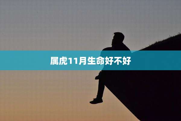 属虎11月生命好不好