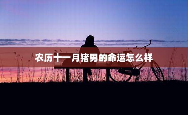 农历十一月猪男的命运怎么样