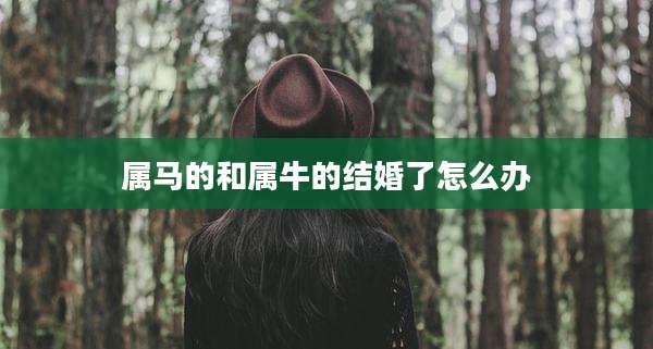 属马的和属牛的结婚了怎么办
