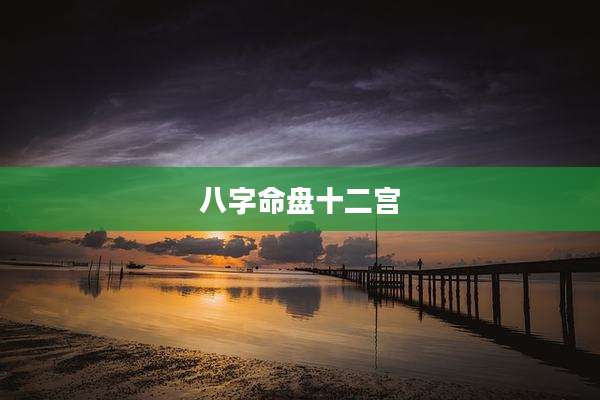 八字命盘十二宫