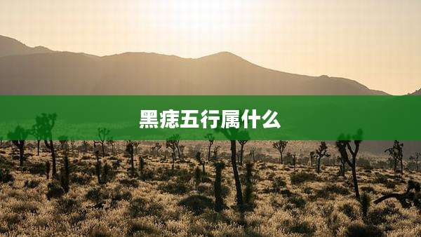 黑痣五行属什么