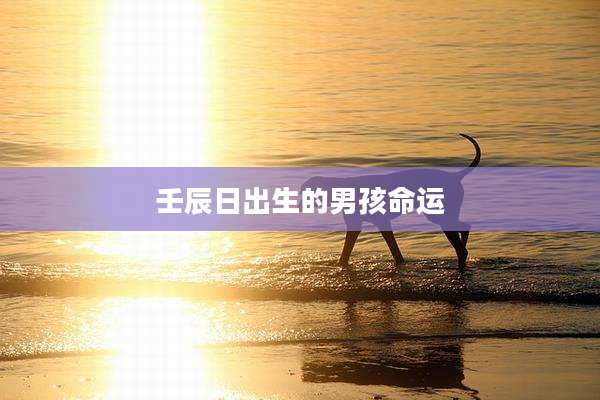壬辰日出生的男孩命运