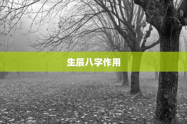 生辰八字作用