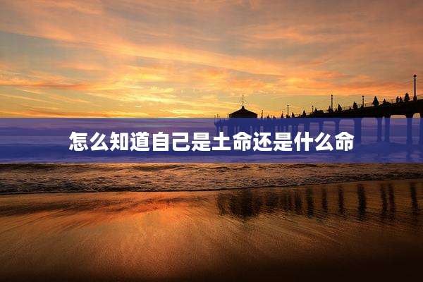 怎么知道自己是土命还是什么命