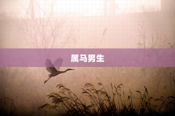 属马男生