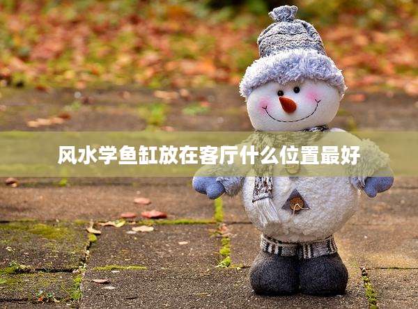 风水学鱼缸放在客厅什么位置最好