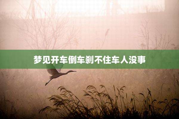 梦见开车倒车刹不住车人没事