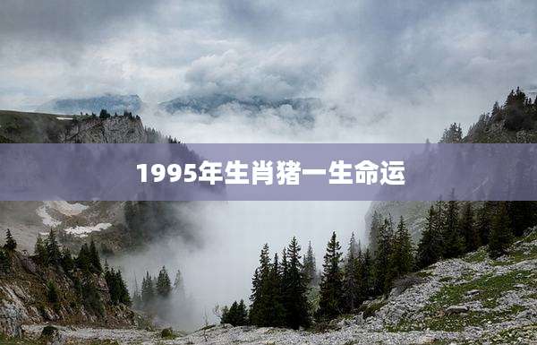 1995年生肖猪一生命运