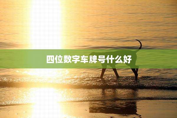 四位数字车牌号什么好