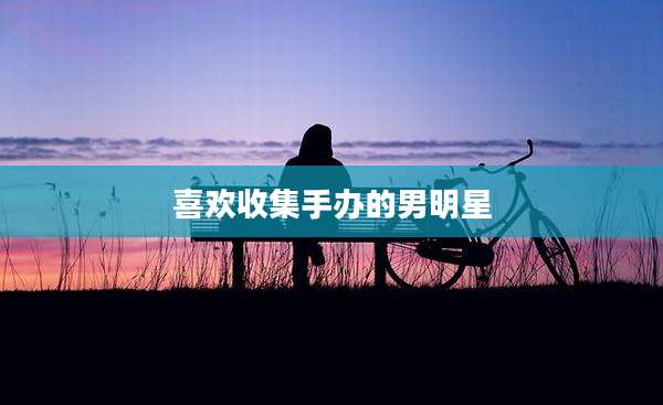 喜欢收集手办的男明星