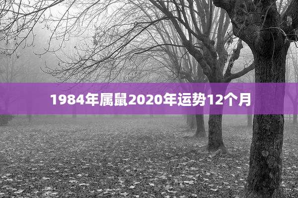 1984年属鼠2020年运势12个月