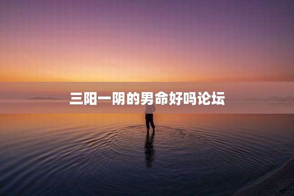 三阳一阴的男命好吗论坛