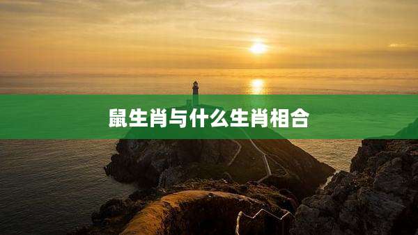 鼠生肖与什么生肖相合