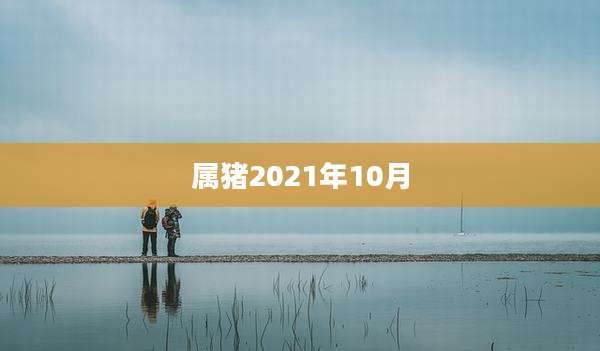 属猪2021年10月