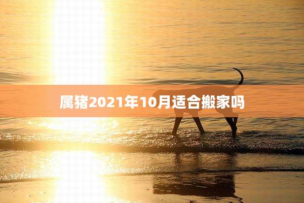 属猪2021年10月适合搬家吗