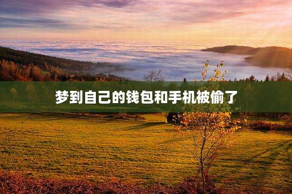 梦到自己的钱包和手机被偷了