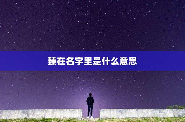 臻在名字里是什么意思
