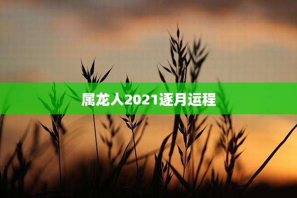 属龙人2021逐月运程