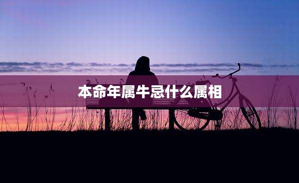 本命年属牛忌什么属相