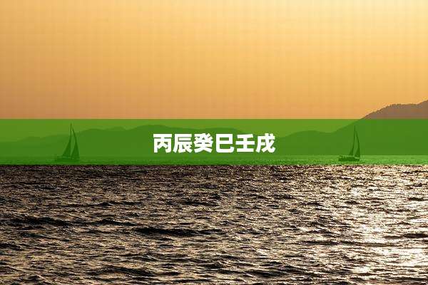 丙辰癸巳壬戌