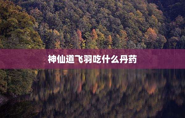 神仙道飞羽吃什么丹药