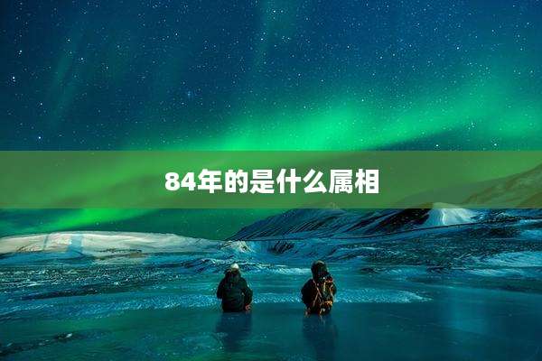84年的是什么属相