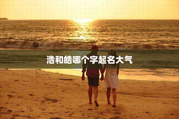 浩和皓哪个字起名大气