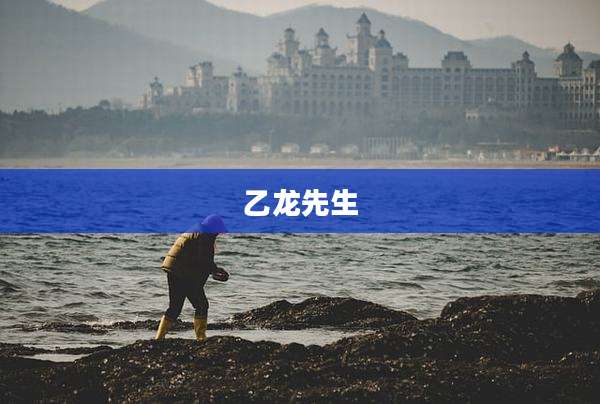 乙龙先生