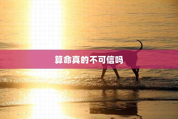 算命真的不可信吗