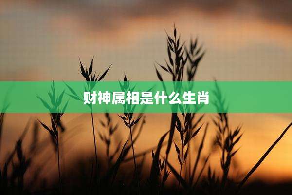 财神属相是什么生肖