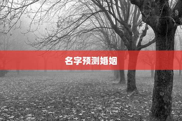 名字预测婚姻