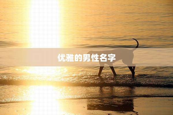优雅的男性名字