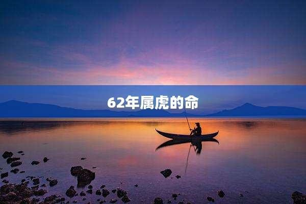 62年属虎的命
