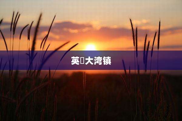 英徳大湾镇